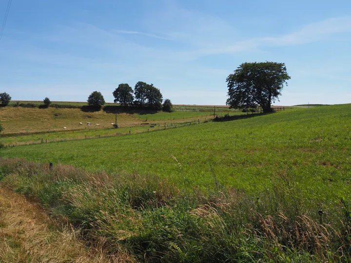 Beausaint (La Roche-en-Ardenne, België)